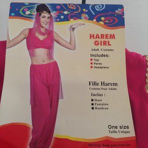 Harem Girl Adult 3 piece Pink Costume One Size fits Most